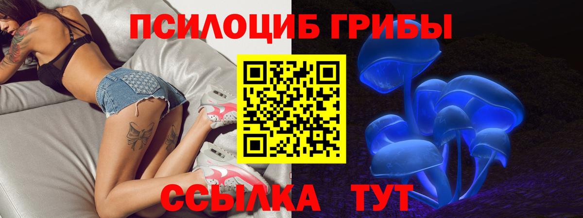 Сокол  Галлюциногенные грибы Psilocybine cubensis  Вход с VPN  Псилоцибиновые грибы GOLDEN TEACHER 